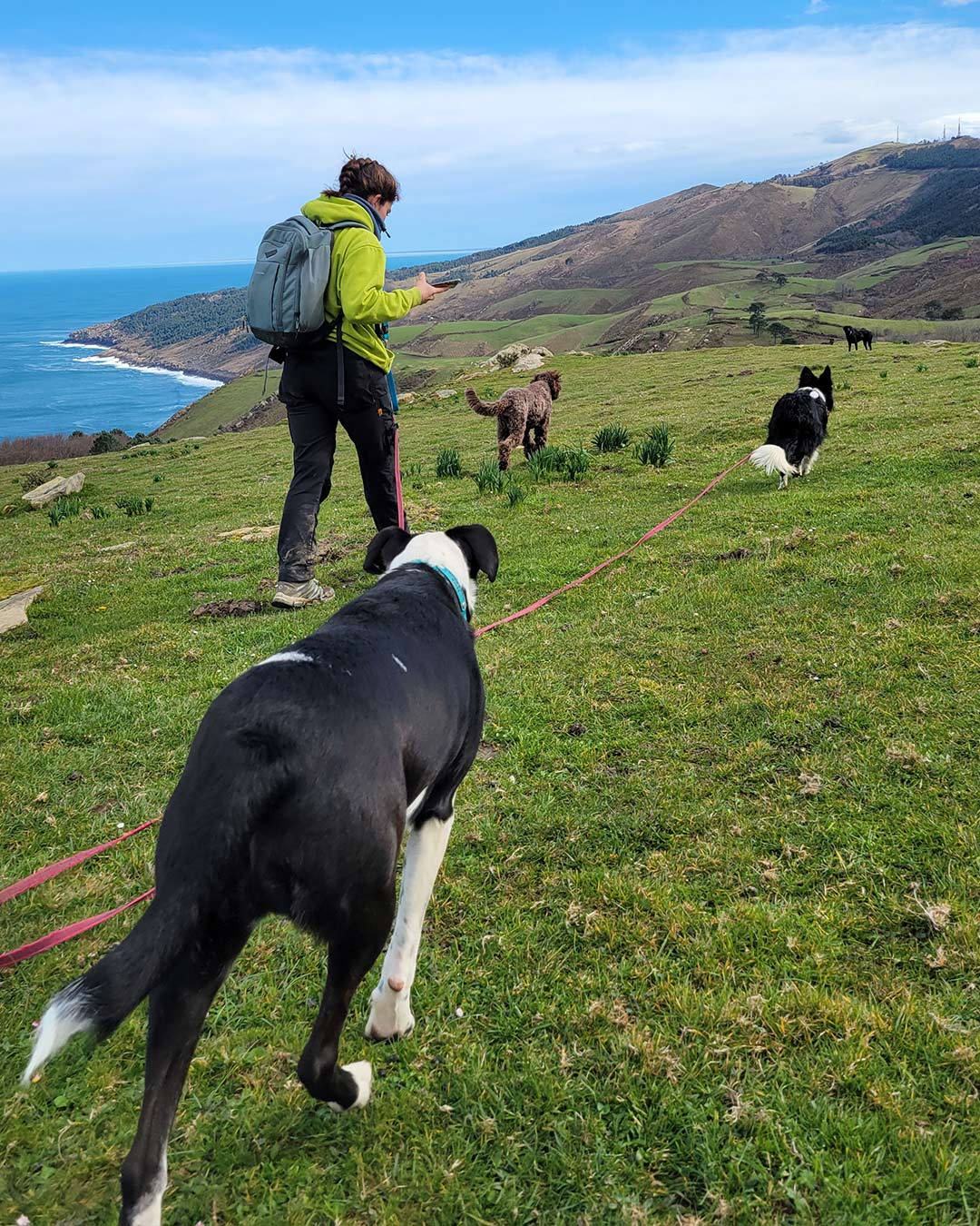 Paseos caninos por la naturaleza